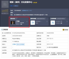 王思聰再被限制消費(fèi)，計(jì)算機(jī)軟件技術(shù)開發(fā)背后的法律警示