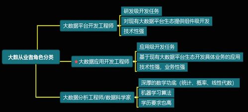 大數(shù)據(jù)開發(fā)工程師與數(shù)據(jù)經濟信息咨詢 技能融合與職業(yè)發(fā)展