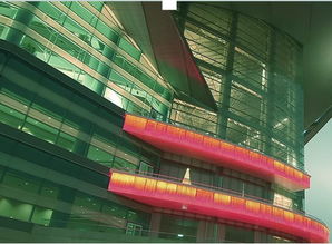 Wing King Tong 在多元業(yè)務中探尋軟件與咨詢的融合之道